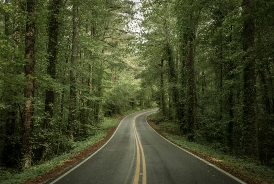 Road Trips from Memphis: Exploring Nearby Gems and Hidden Treasures