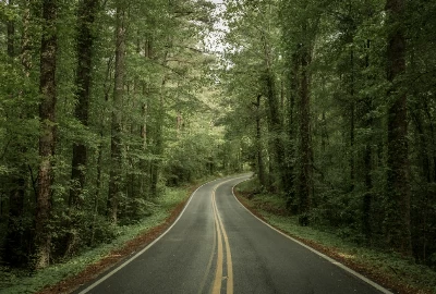Road Trips from Memphis: Exploring Nearby Gems and Hidden Treasures